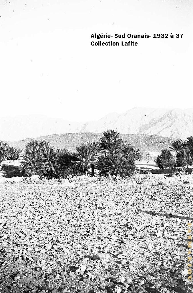 SUD ORANAIS  1932 A 1937  (87).jpg
